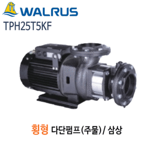 (펌프샵)왈러스펌프 TPH25T5KF 횡형다단펌프 주물펌프 삼상(TPH25T-5KF) 견적후구매가능