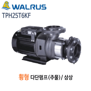 (펌프샵)왈러스펌프 TPH25T6KF 횡형다단펌프 주물펌프 삼상(TPH25T-6KF) 견적후구매가능
